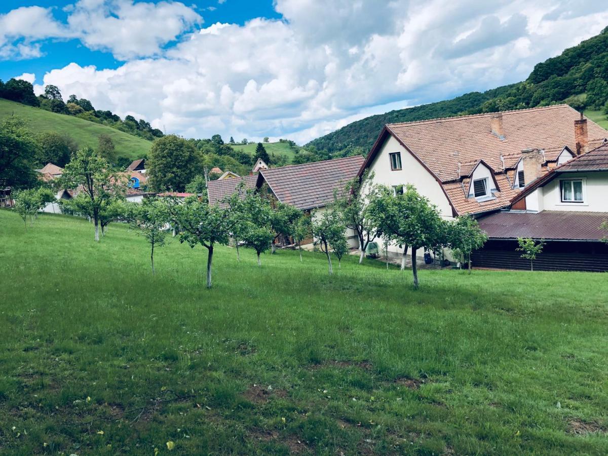 Hotel Poenita Sighişoara Esterno foto