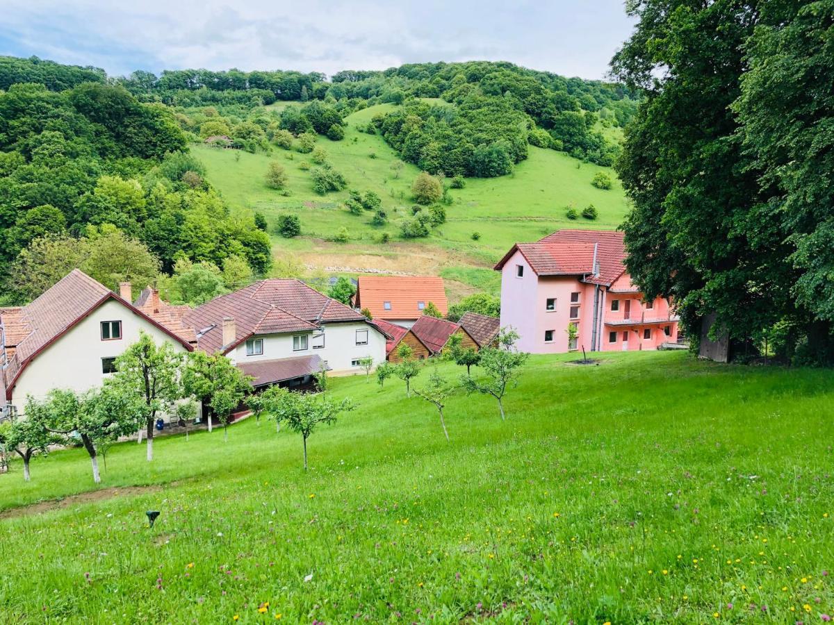 Hotel Poenita Sighişoara Esterno foto