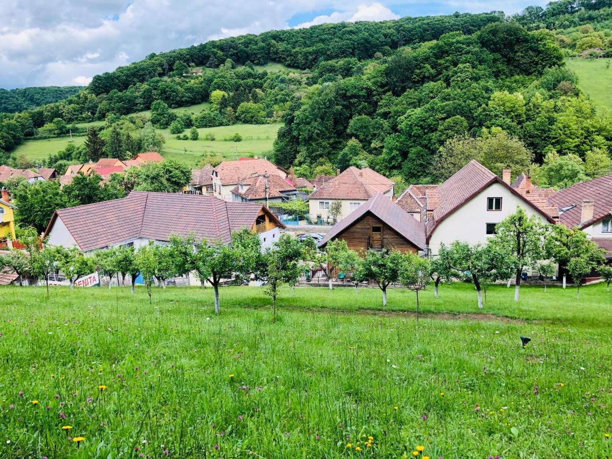Hotel Poenita Sighişoara Esterno foto